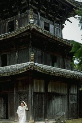 ¡El Bosque de Bambú de Lishui te transportará a un mundo mágico y ancestral!