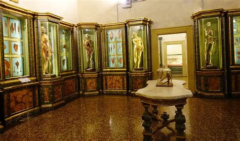  El Museo di Palazzo Poggi: Un Tesoro Escondido de Arte y Historia en Xàtiva