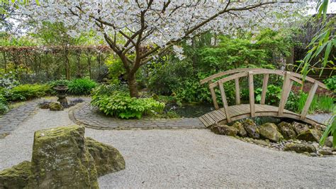 ¿Anhelas la serenidad de un jardín zen en Bozhou? ¡El Jardín Qingyun te espera!